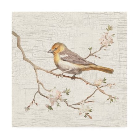 Trademark Fine Art Danhui Nai 'Northern Oriole Vintage Painting' Canvas Art, 35x35 WAP10804-C3535GG